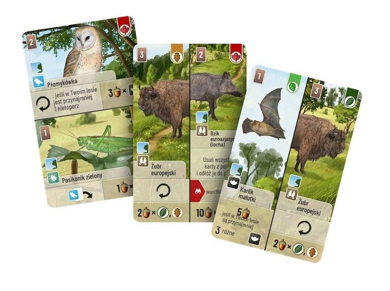 Rebel, Leśne rozdanie: Na skraju lasu, dodatek do gry