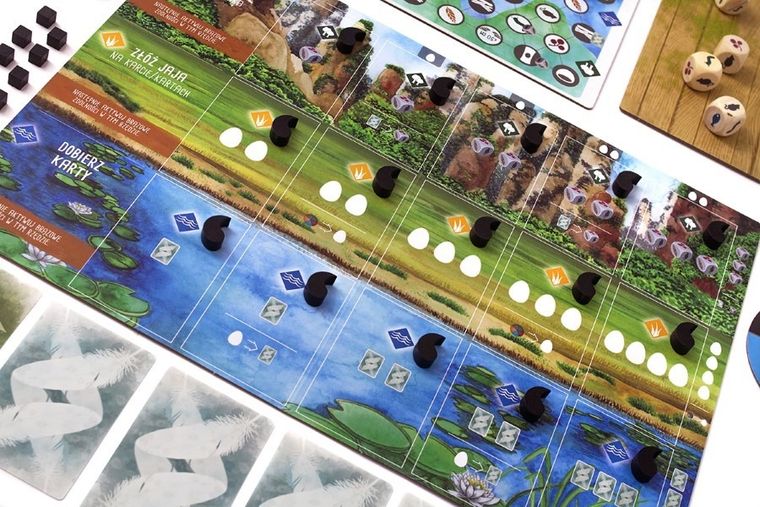 Rebel, Na skrzydłach: Ptaki Azji, gra ekonomiczna