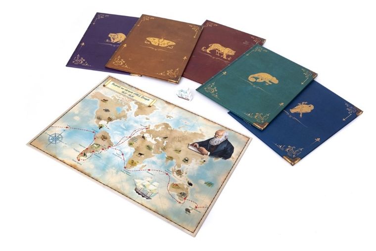 Rebel, Śladami Darwina, gra familijna