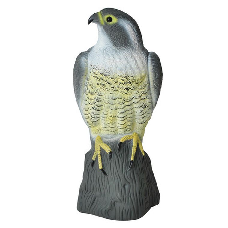 Repest, odstraszacz ptaków, sokół