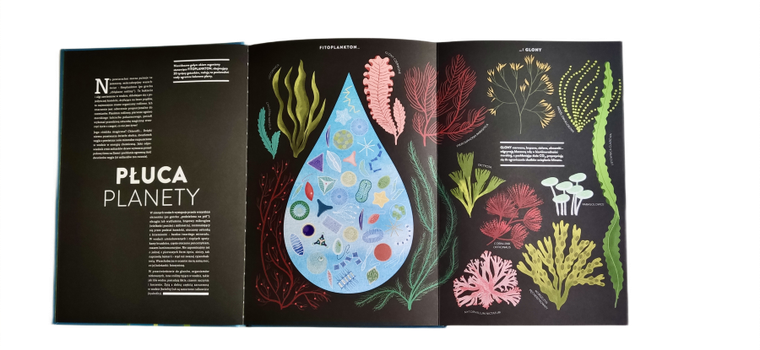 Rośliny. Cuda natury na wyjątkowych ażurowych rycinach