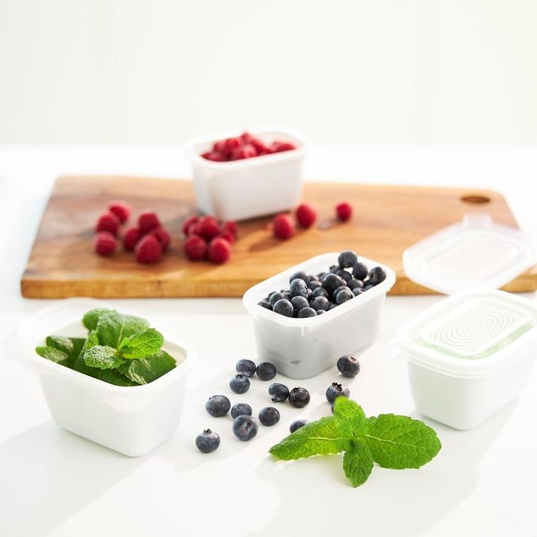 Rotho, Freeze, zestaw pojemników do mrożenia, 6 x 0,25l