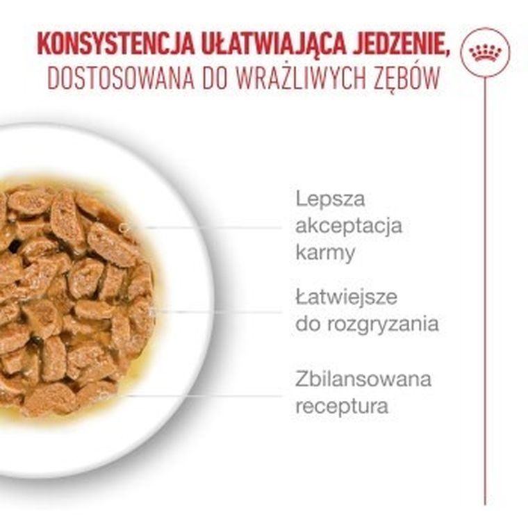 Royal Canin, FHN Cat Ageing 11+, mokra karma dla kotów dojrzałych, 12-85g