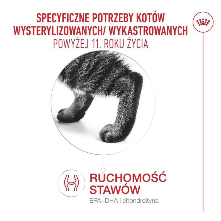 Royal Canin, FHN Cat Ageing Sterilised 11+, sucha karma dla kotów sterylizowanych, 4kg