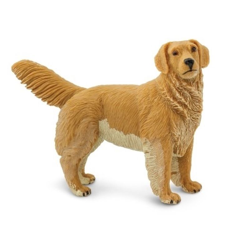 Safari Ltd, figurka, pies golden retriever