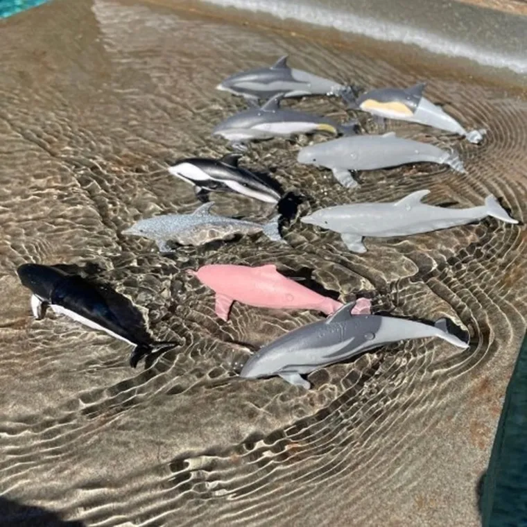 Safari Ltd, Toob, zestaw figurek, delifny