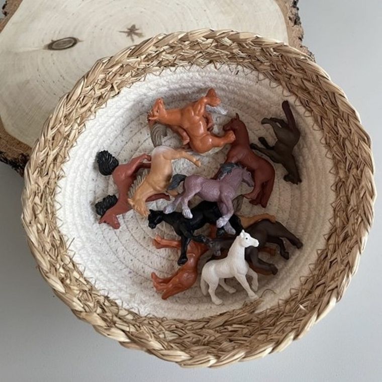 Safari Ltd, Toob, zestaw figurek, konie