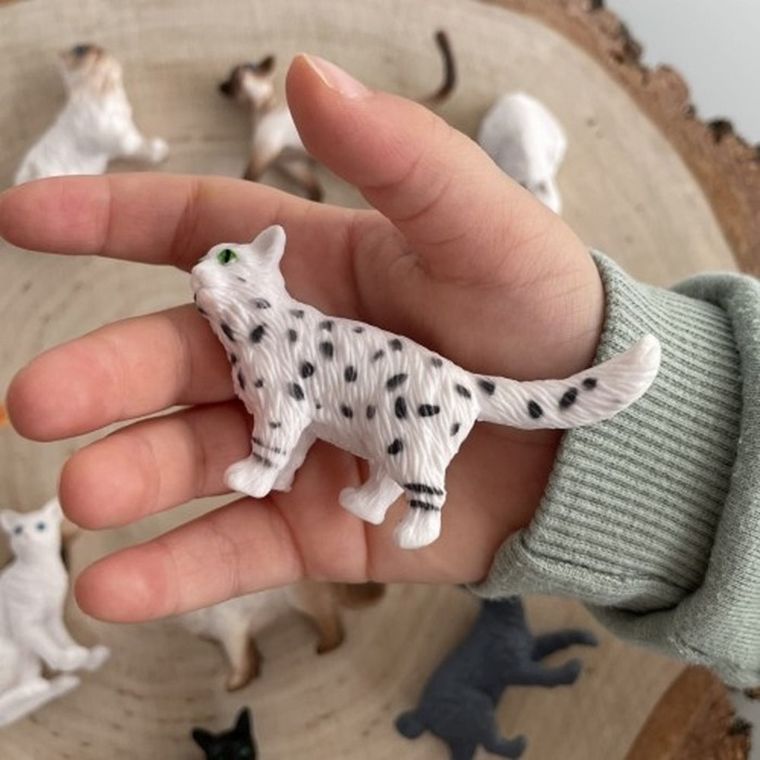 Safari Ltd, Toob, zestaw figurek, koty domowe