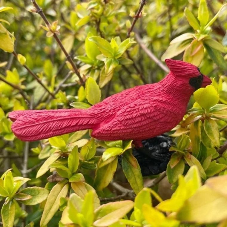 Safari Ltd, Toob, zestaw figurek, mieszkańcy lasu