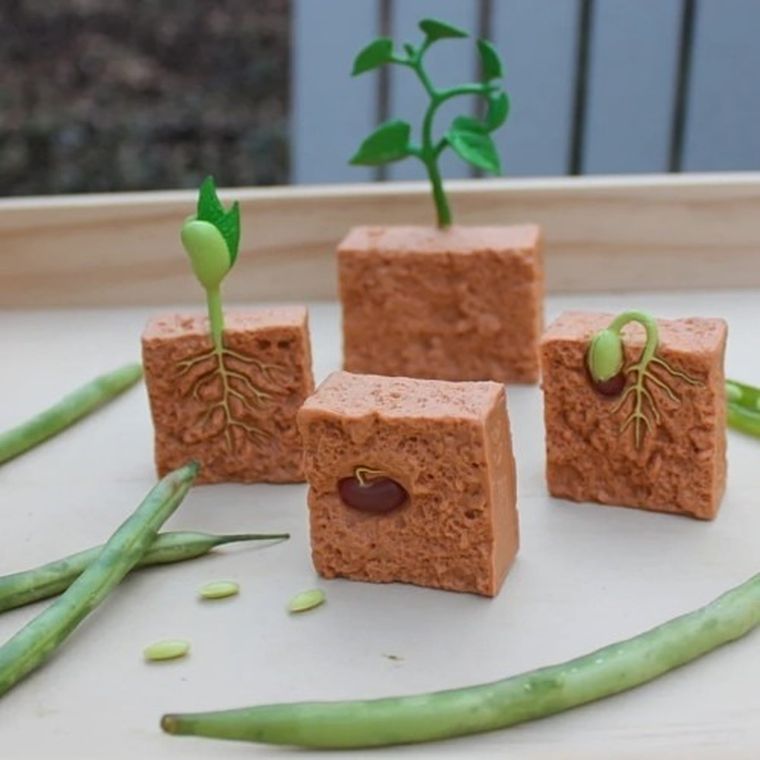 Safari Ltd, zestaw figurek, cykl rozwoju fasoli