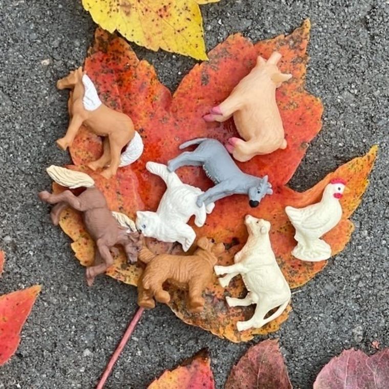 Safari Ltd, zestaw mini figurek, zwierzęta wiejskie