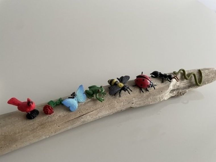 Safari Ltd, zestaw mini figurek, życie w ogrodzie