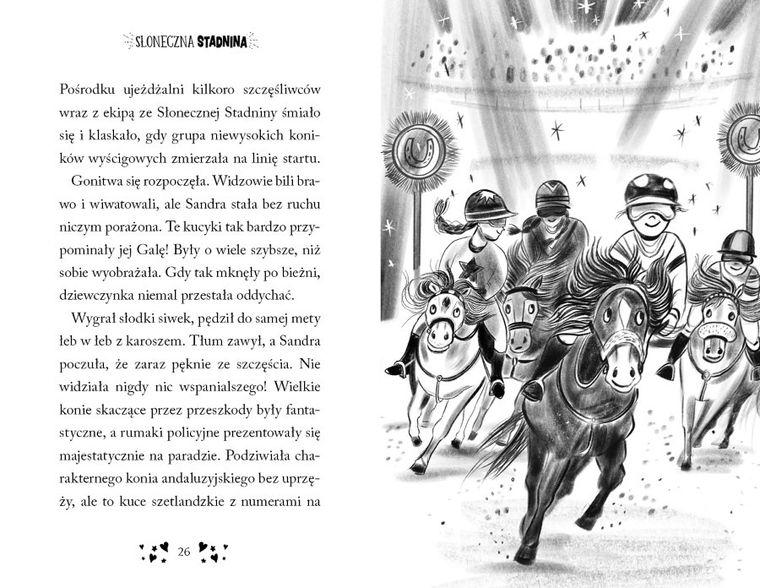 Sandra i zimowy kucyk. Słoneczna Stadnina