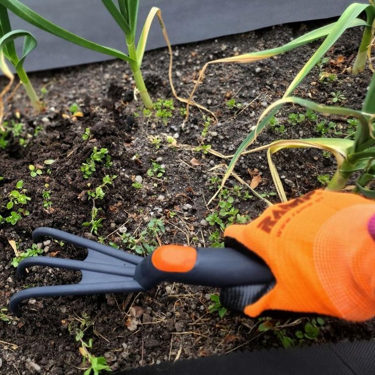 Saska Garden, pazurki, kultywator ogrodowy