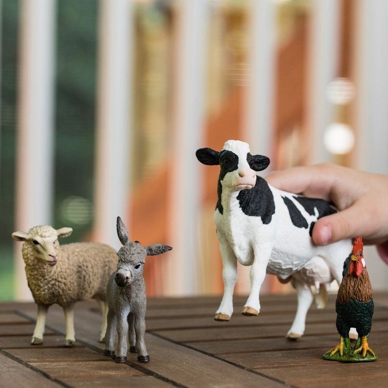 Schleich, Farm World, Życie na farmie, zestaw startowy, 42385