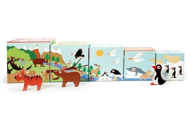 Scratch, Dzikie zwierzęta, piramida edukacyjna, 5 elementów