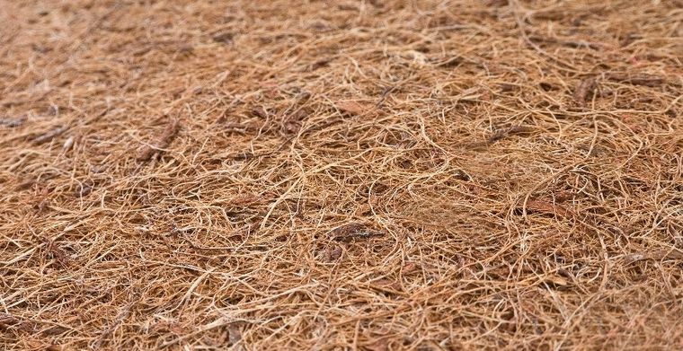 Sensillo, Classic, materac, kokosowo-piankowo-kokosowy, 140-70-8 cm