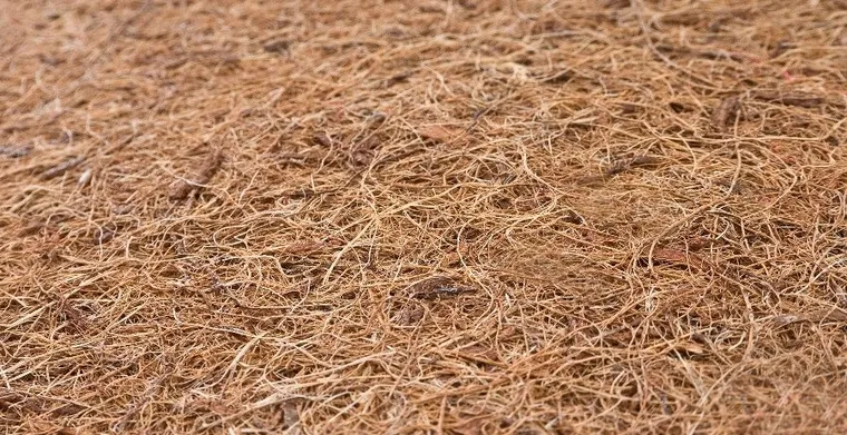 Sensillo, materac, kokosowo-piankowy, 140-70-9 cm