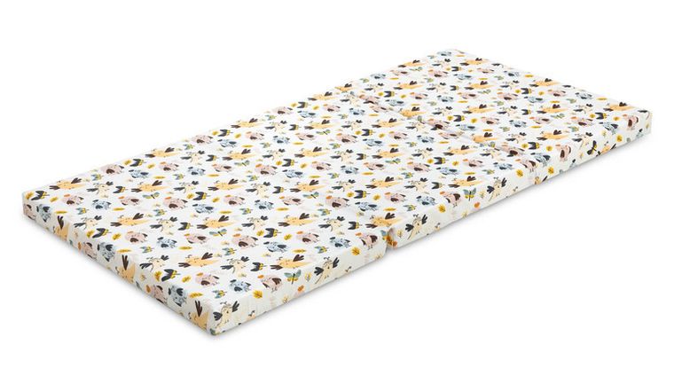 Sensillo, materacyk turystyczny, ptaki