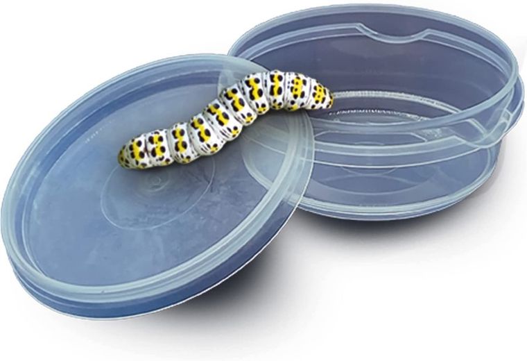 SES Creative, Odkrywca owadów, zestaw kreatywny