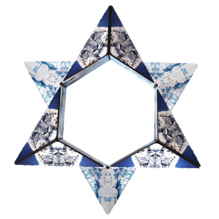 Shashibo, kostka magnetyczna, łamigłówka, Arctic