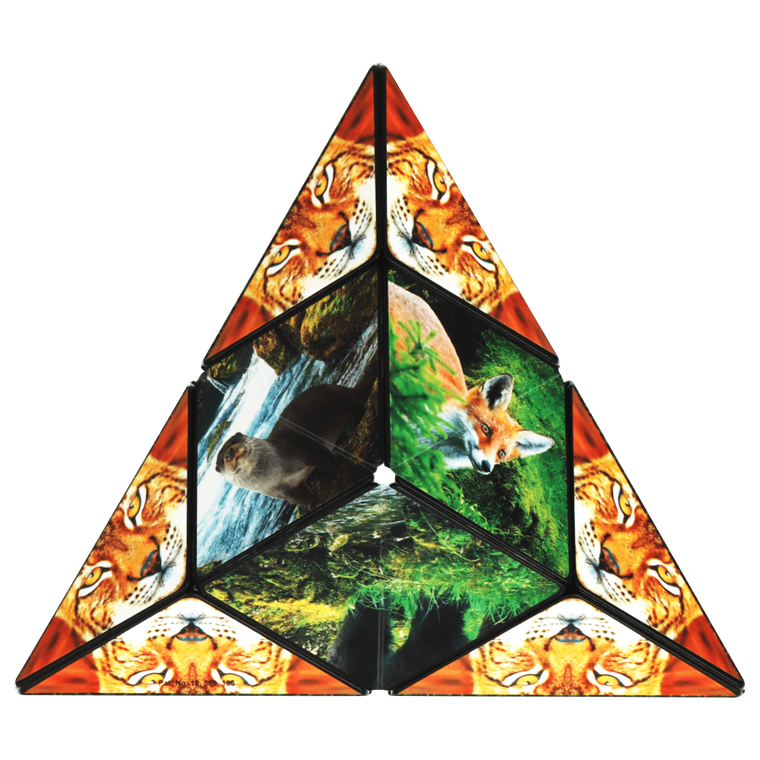 Shashibo, kostka magnetyczna, łamigłówka, Forest