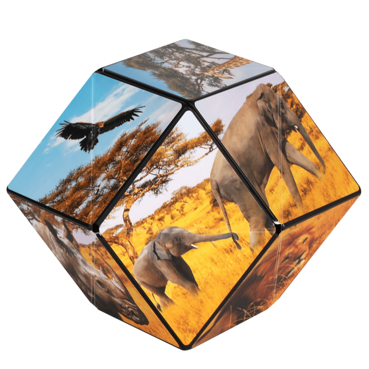 Shashibo, kostka magnetyczna, łamigłówka, Savanna