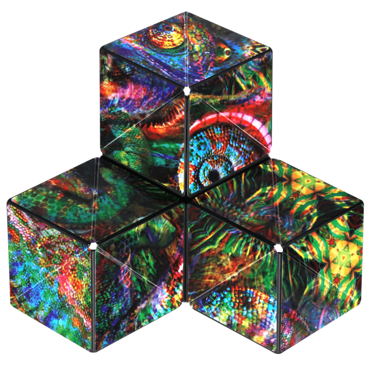 Shashibo, kostka magnetyczna, łamigłówka, The Chameleon