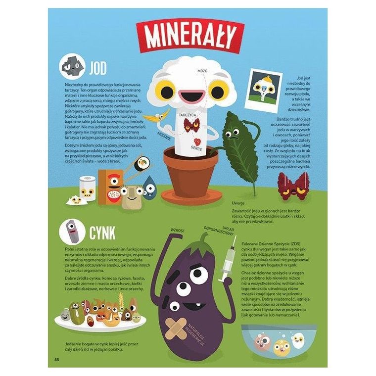 Simple Happy Kitchen. Ilustrowany przewodnik po roślinnym stylu życia