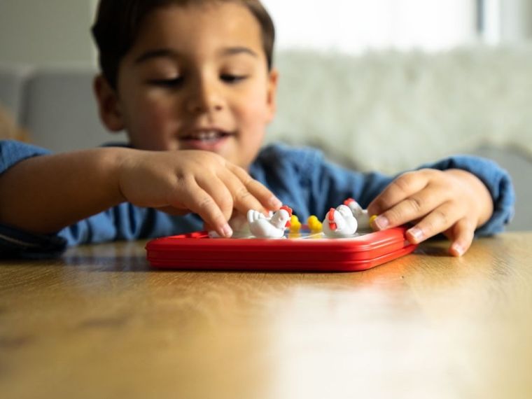 Smart Games, Chicken Shuffle Jr., wersja angielska, gra logiczna