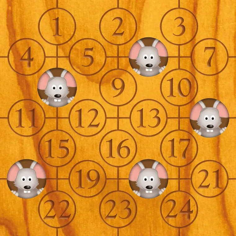 Smart Games, Dziura w całym, gra logiczna