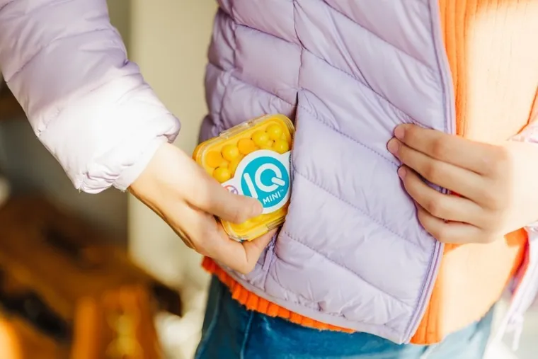 Smart Games, IQ Mini, wersja angielska, gra logiczna