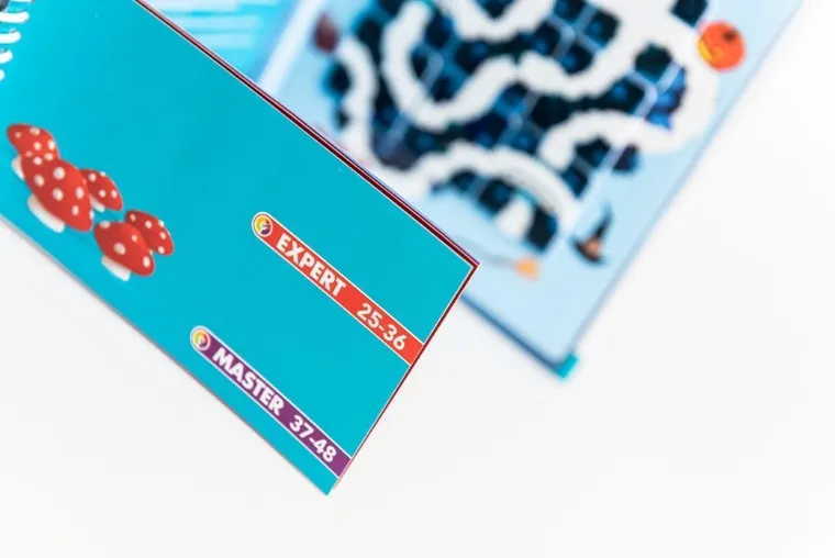 Smart Games, Magic Forest, wersja angielska, gra logiczna