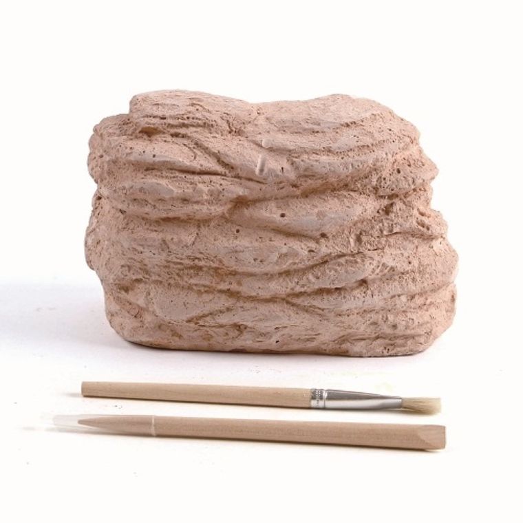 Smiki, Wykopaliska, czaszka dinozaura, zestaw naukowy