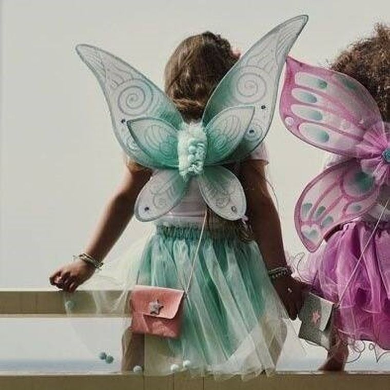 Souza! Elf wróżka Angelina, kostium spódniczka i skrzydła, 3-5 lat