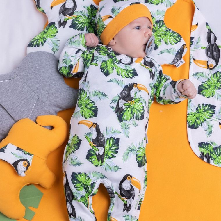 Śpiochy chłopięce, mix, Nicol