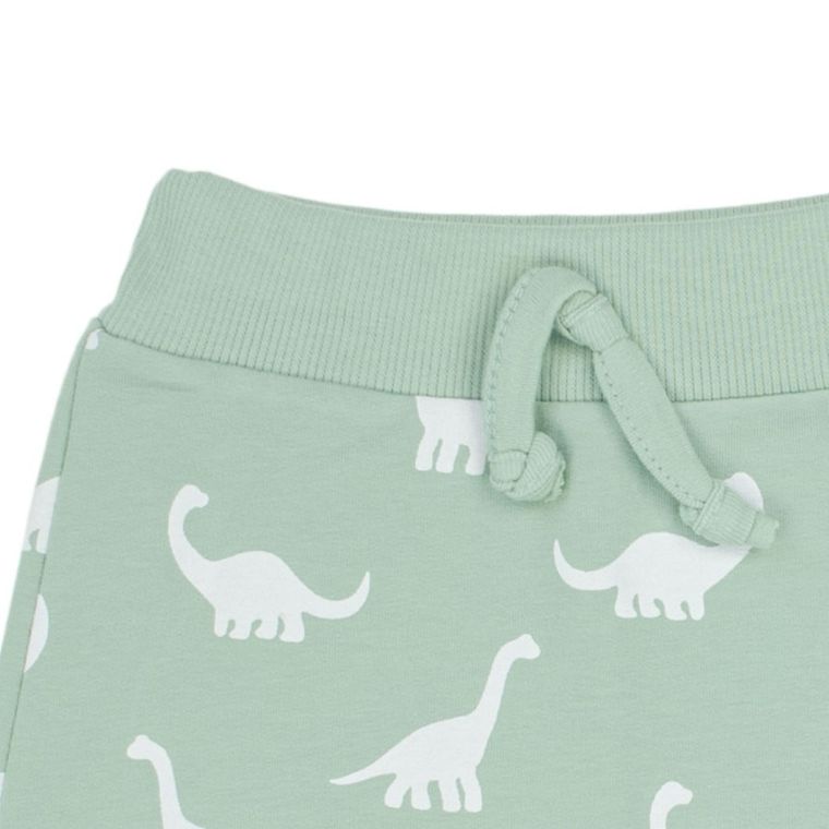 Spodnie dresowe chłopięce, miętowe, Nicol