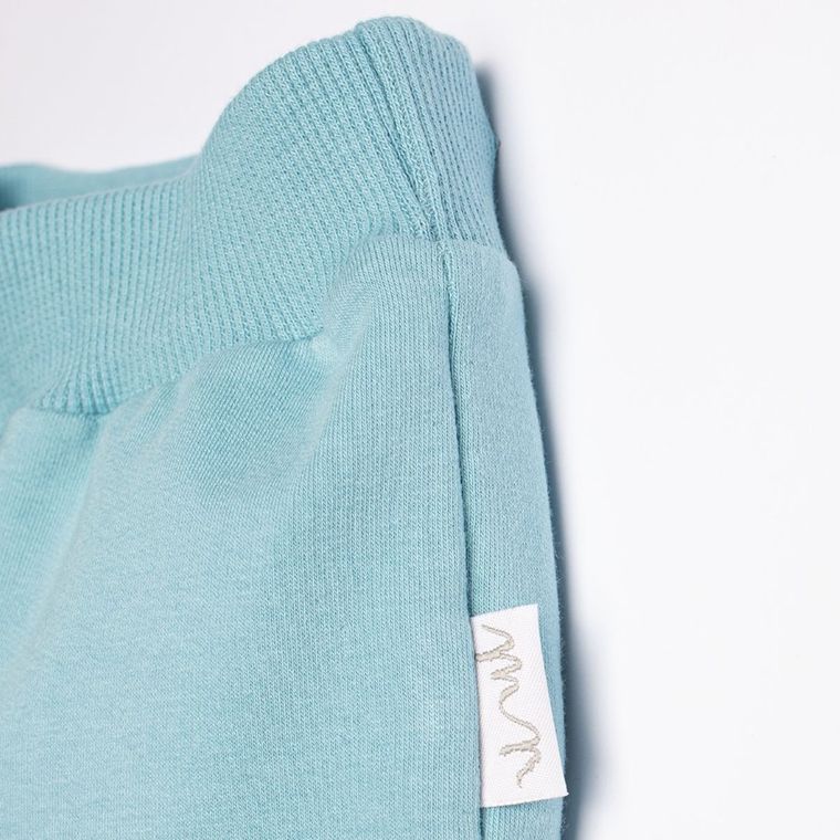 Spodnie dresowe chłopięce, niebieskie, Nicol