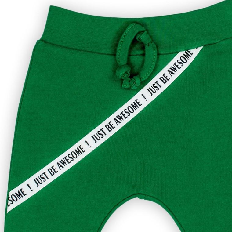 Spodnie dresowe chłopięce, zielone, Nicol