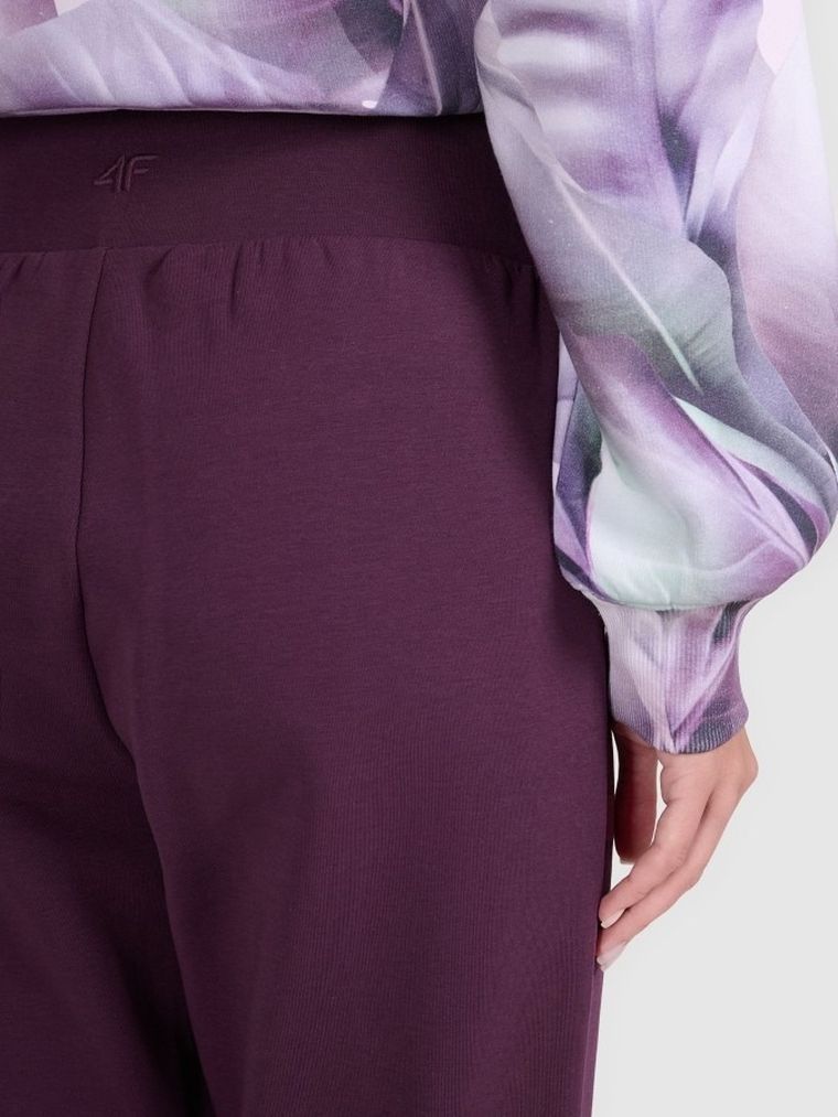 Spodnie dresowe damskie, bordowe, 4F
