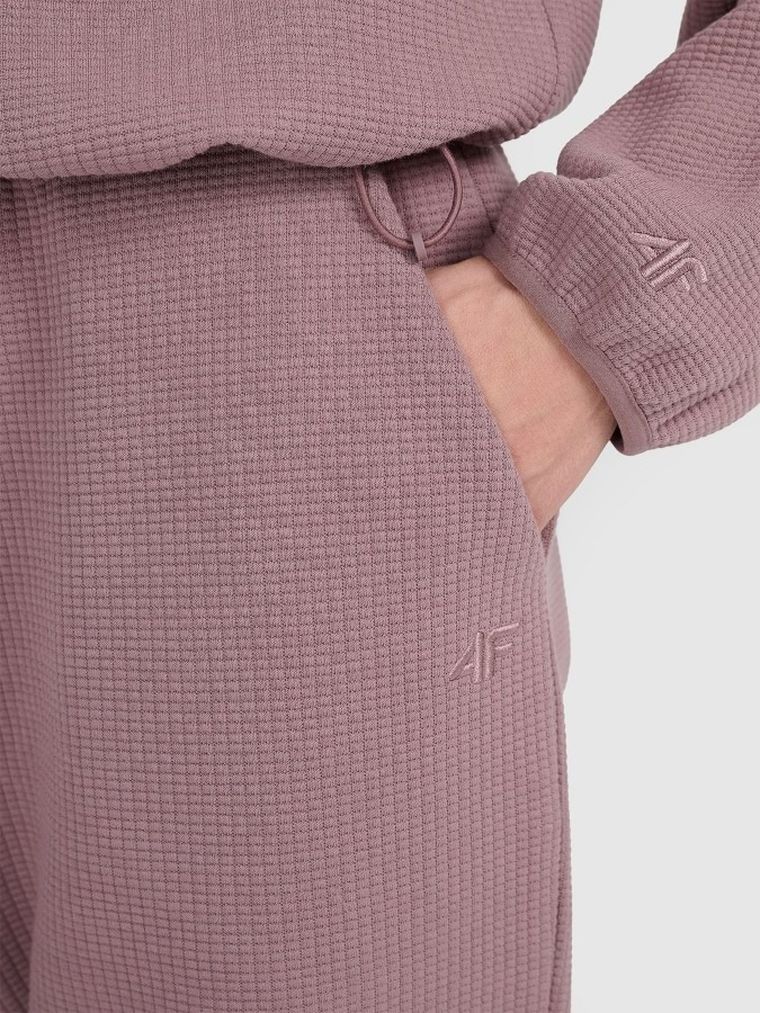 Spodnie dresowe damskie, brązowe, 4F