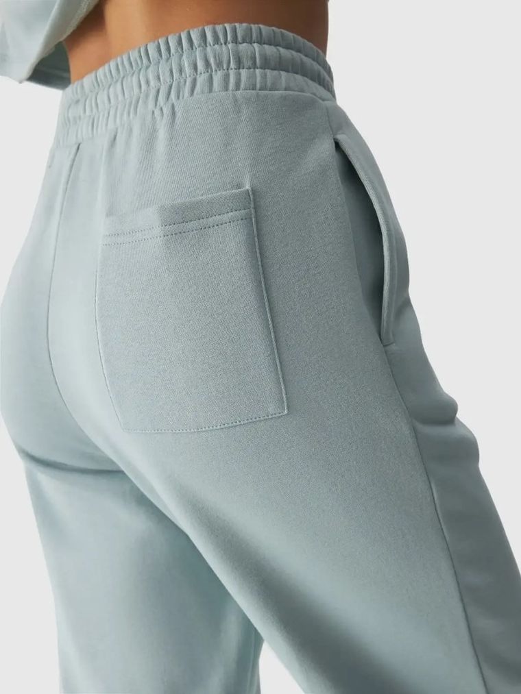 Spodnie dresowe damskie, szare, 4F