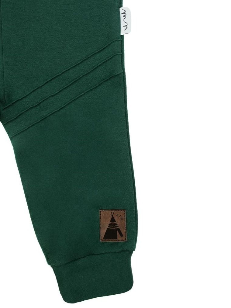 Spodnie dresowe dla chłopca, zielone, Nicol