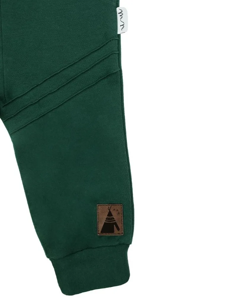 Spodnie dresowe dla chłopca, zielone, Nicol