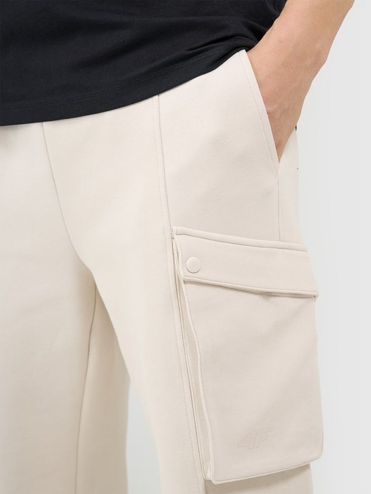 Spodnie dresowe męskie, beżowe, 4F