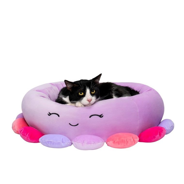 Squishmallows, legowisko dla psa, rozmiar M, 60 cm, Beula The Octopus