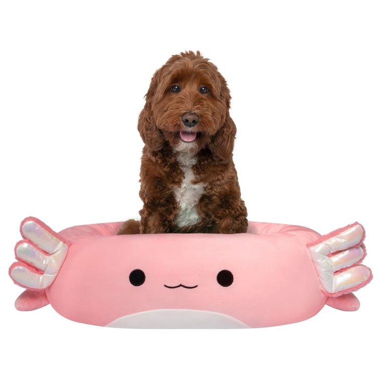 Squishmallows, legowisko dla psa/kota, rozmiar S, 50 cm, Archie The Axolotl