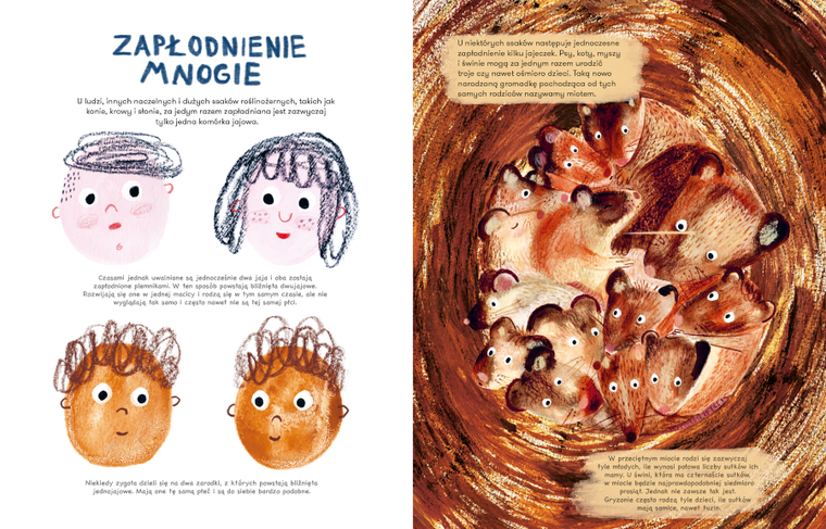 Ssaki. Jak się rozmnażają i opiekują młodymi