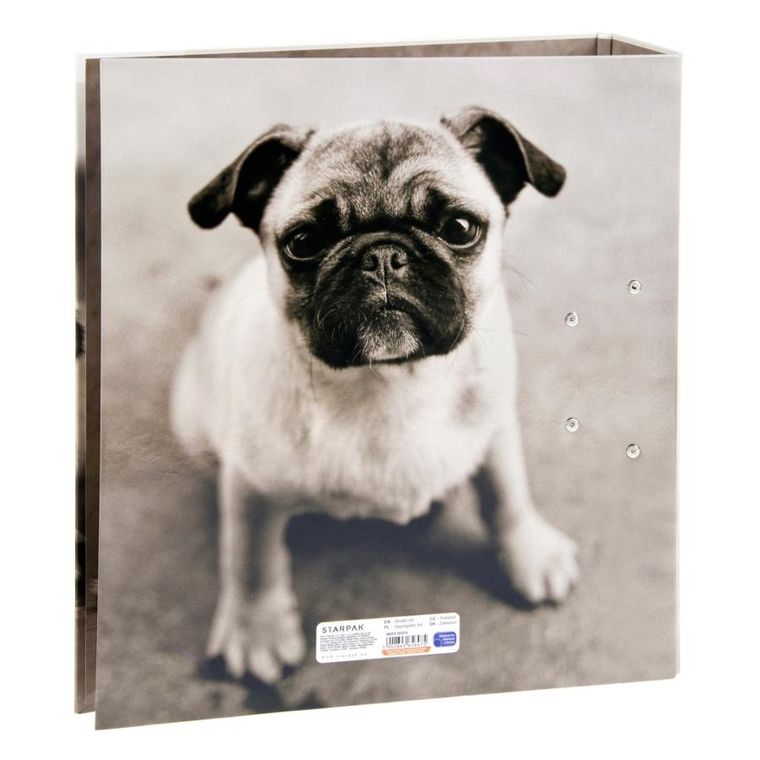 Starpak, segregator A4, psy