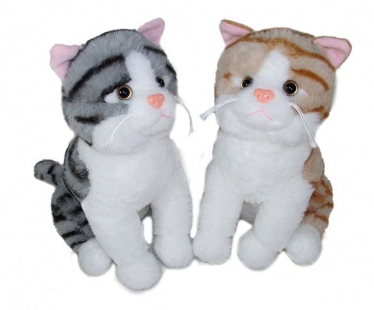 Sun-Day, Kot, maskotka, 35 cm, 1 szt.